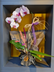 Mor Orkide Tasarımlı